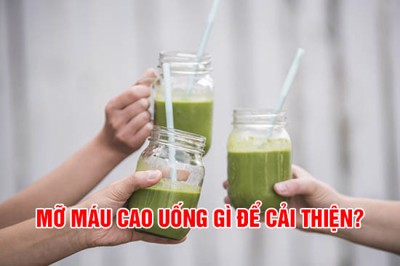 Mỡ máu cao uống gì? Tìm hiểu 8 thức uống cải thiện mỡ máu cao